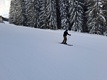 Privatskischule Walcher